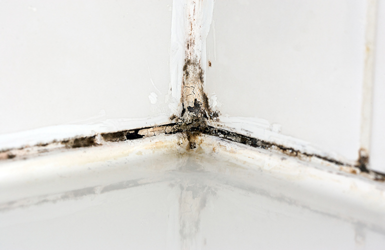 Use ammonia to fight mildew