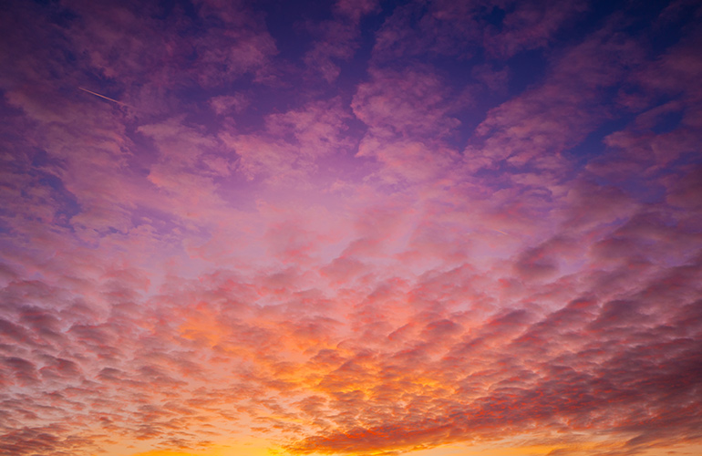 A pink sunrise