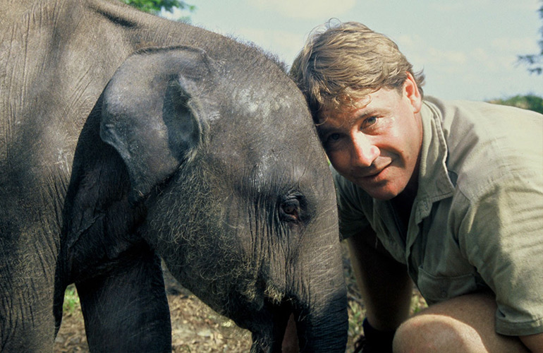 Meeting Raja the Elephant