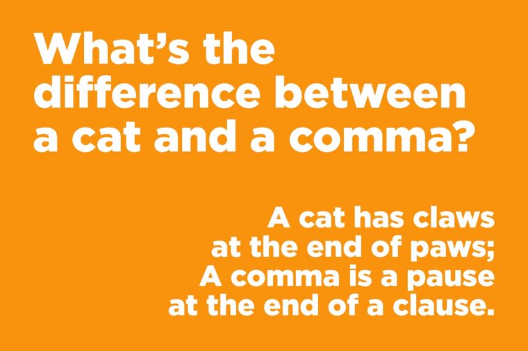 What’s the different between a cat and a comma?
