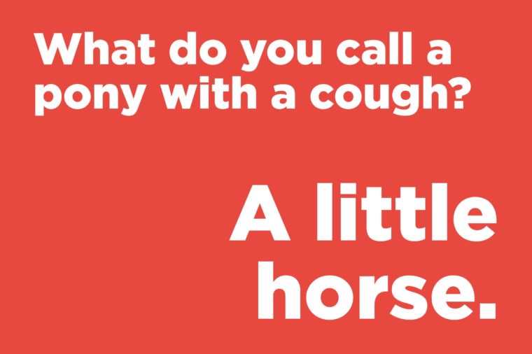 What do you call a pony with a cough?