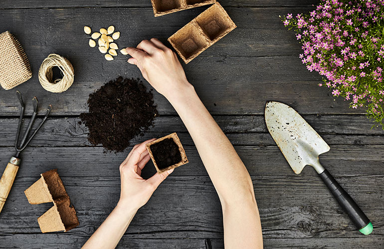Planting a seed