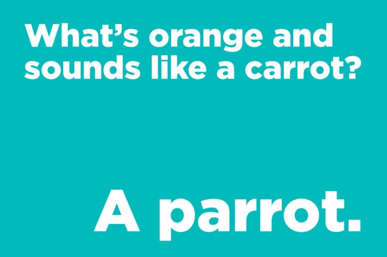 What’s orange and sounds like a carrot?