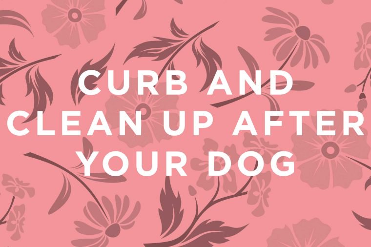 This basic dog walking etiquette is timeless:
