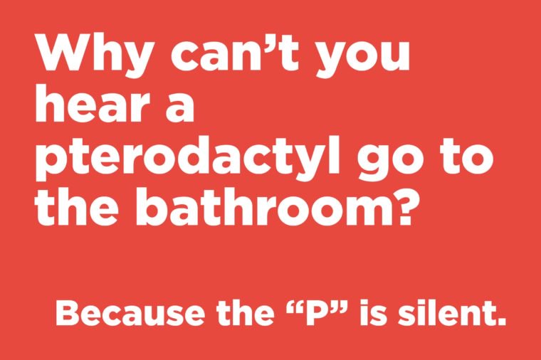 Why can’t you hear a pterodactyl go to the bathroom?