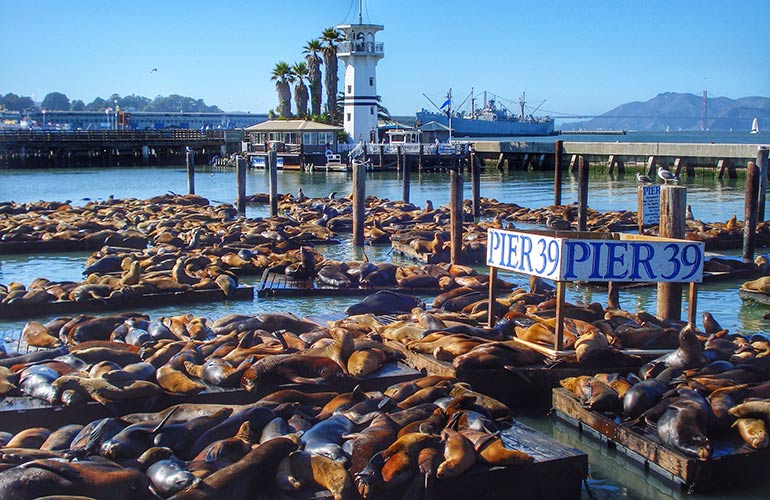 Fisherman’s Wharf, San Francisco, USA