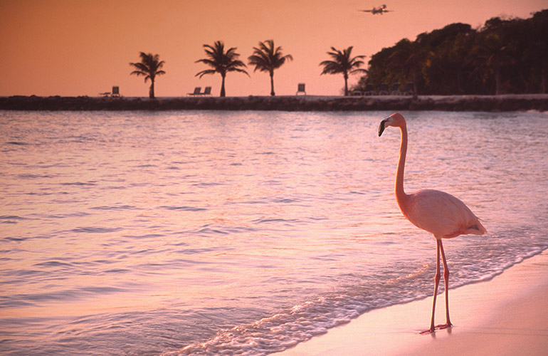 Renaissance Island, Aruba