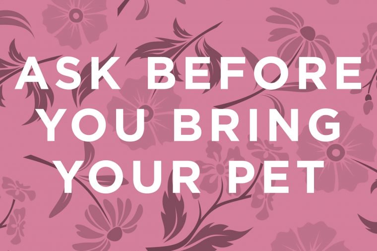 Here’s a basic rule for pet owners: