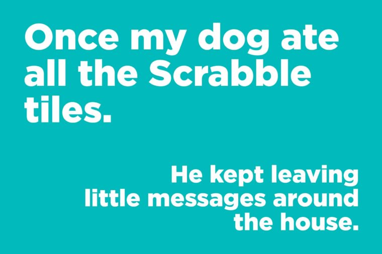 Once my dog ate all the Scrabble tiles.