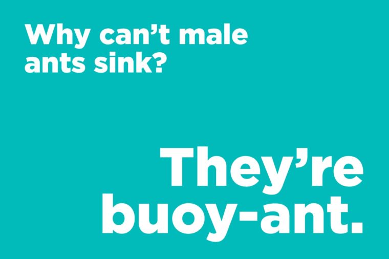 Why can’t male ants sink?