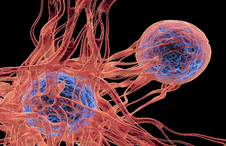 MYTH 6 It can ward off cancer