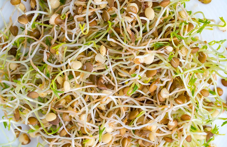 Sprouts