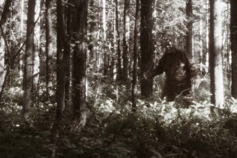 10 Strange Urban Legends That Turned Out To Be True Reader S Digest Australia