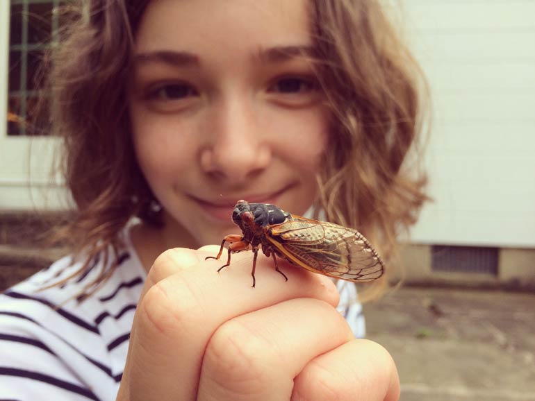 8. Bugs are disappearing