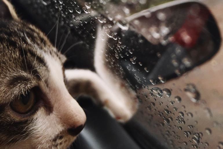 8. Riding in cars