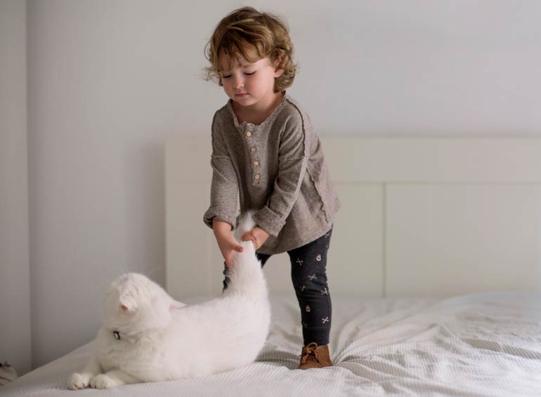 4. Having their tails held