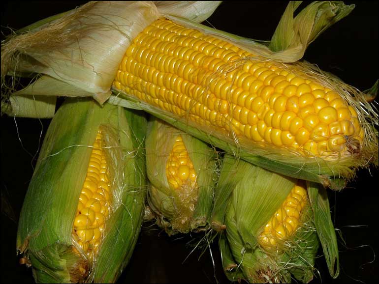 11. A toothbrush can remove silk from corn