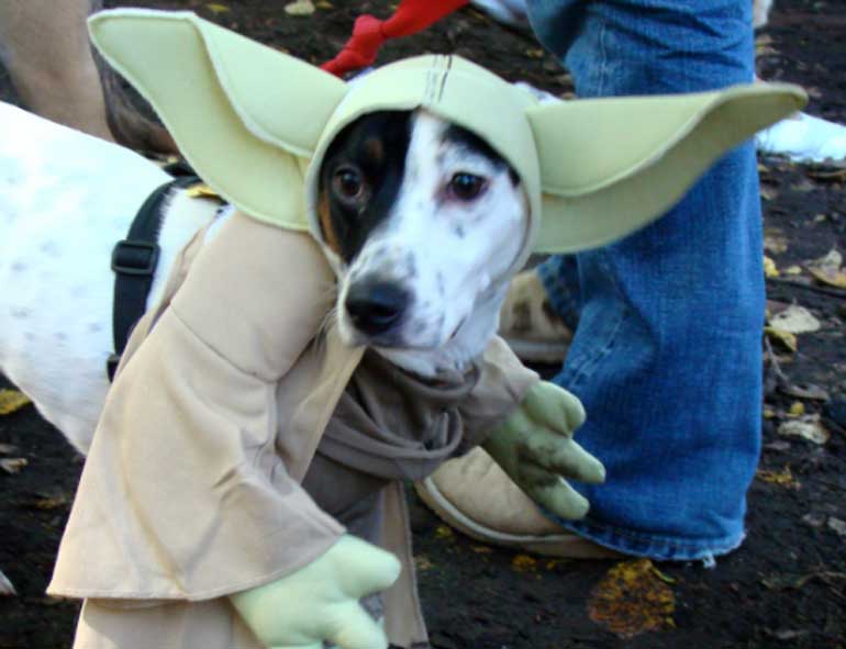 7. May the force be with you