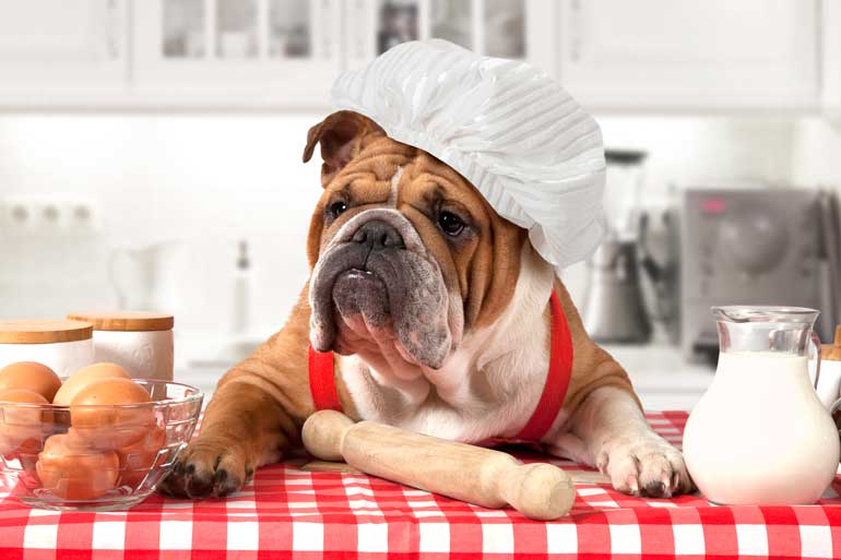 10. Bone appétit