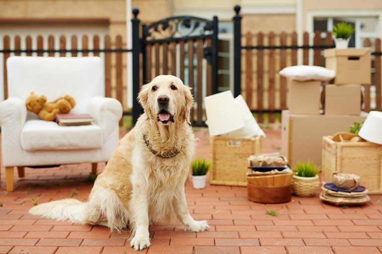 3. You've moved houses