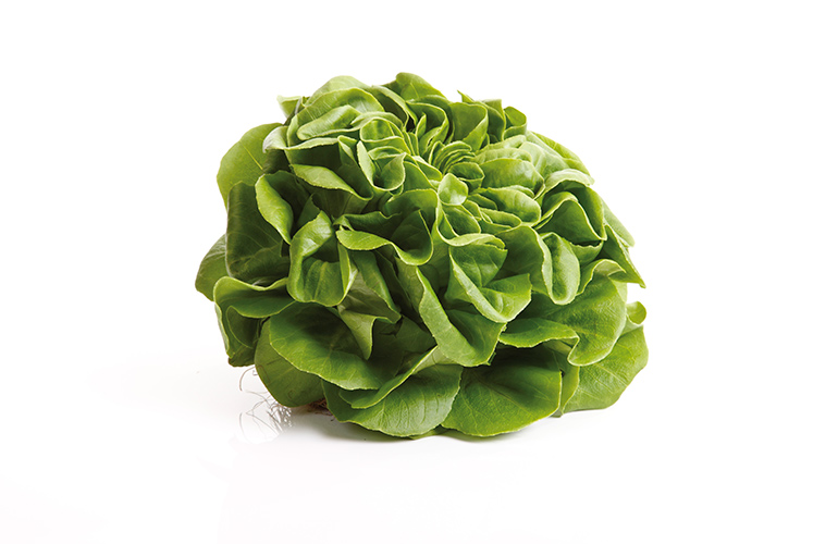 Make lettuce last