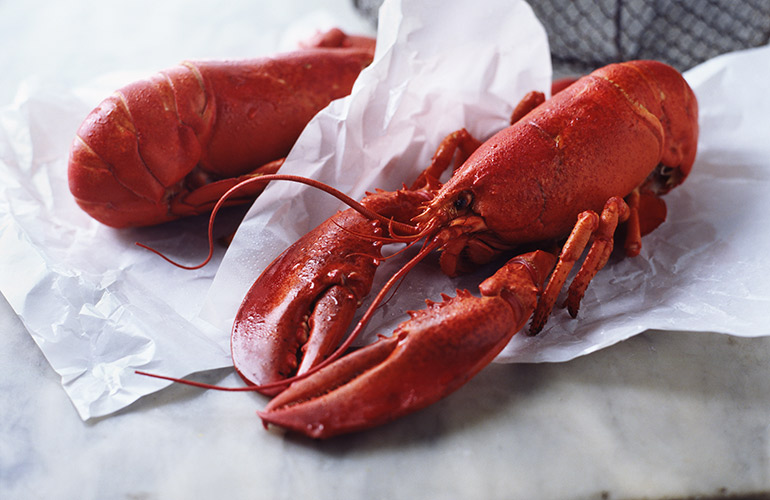 14. Shrimp and Lobster