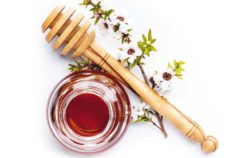 All you need to know about manuka honey