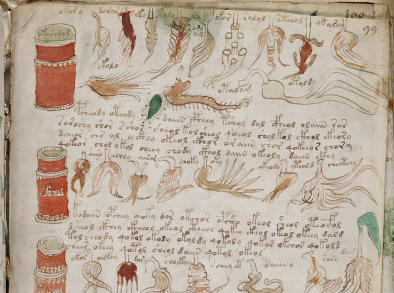 What is the Voynich Manuscript?