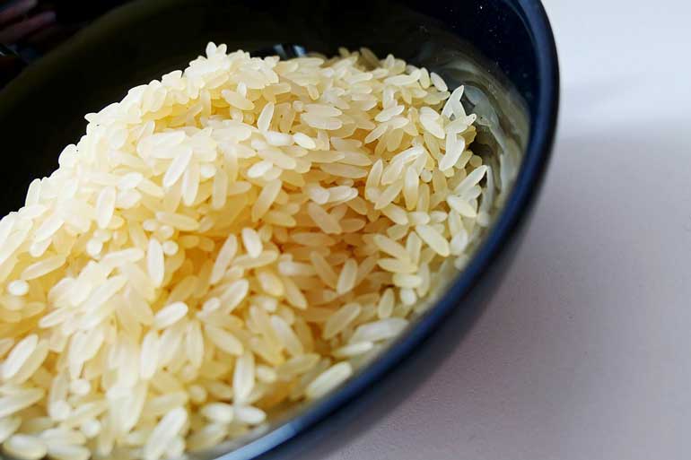 Short- and medium-grain rice