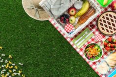 Clever tricks to keep bugs off your picnic rug