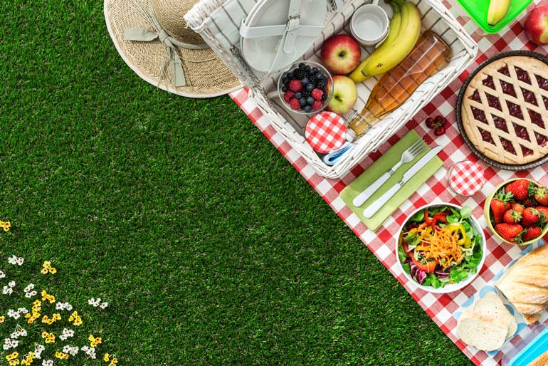 Clever tricks to keep bugs off your picnic rug Reader's Digest Australia