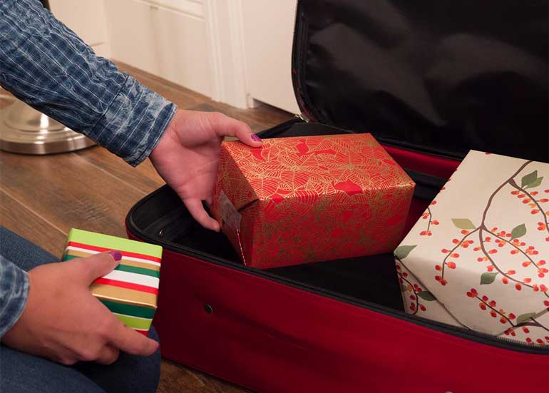 1. In a Suitcase