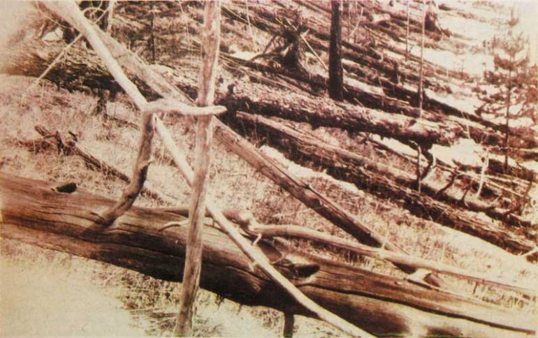 The Tunguska event