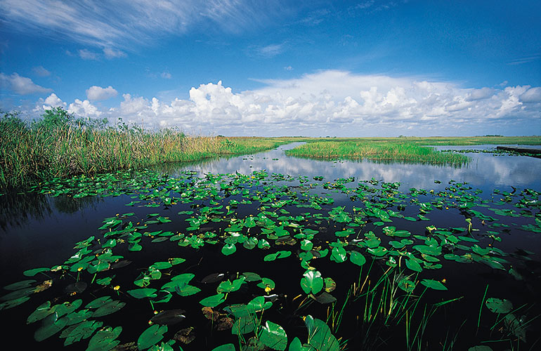 Everglades National Park, USA
