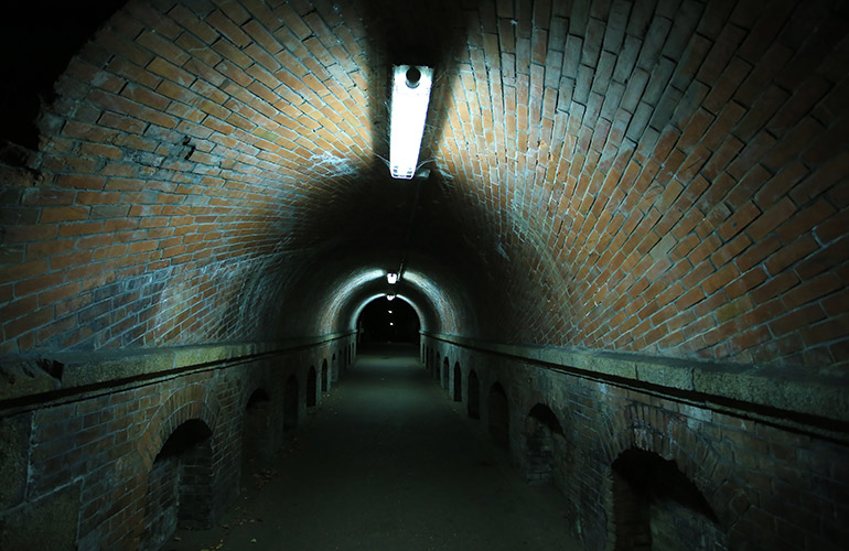 Denver International Airport has tunnels hiding aliens