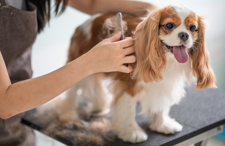 Fur, hair and nail clippings