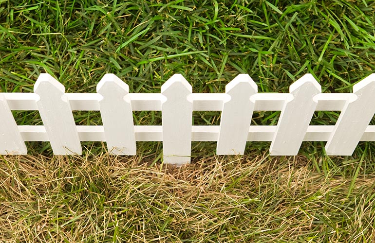 The grass is always greener on the other side