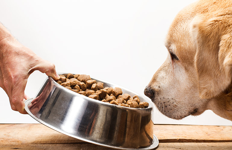 Old pet food