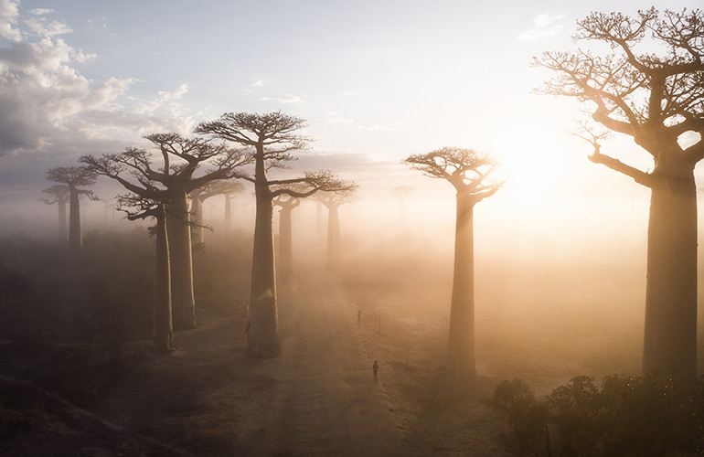 Madagascar