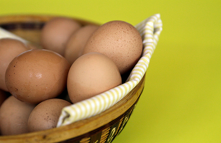 Myth: If you have an egg allergy, you can’t get the flu shot