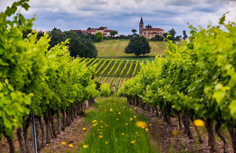 Bordeaux Wine Country, France
