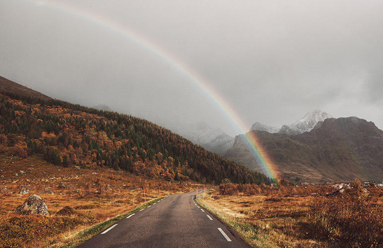 Petrichor