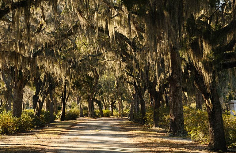 Savannah, Georgia, USA
