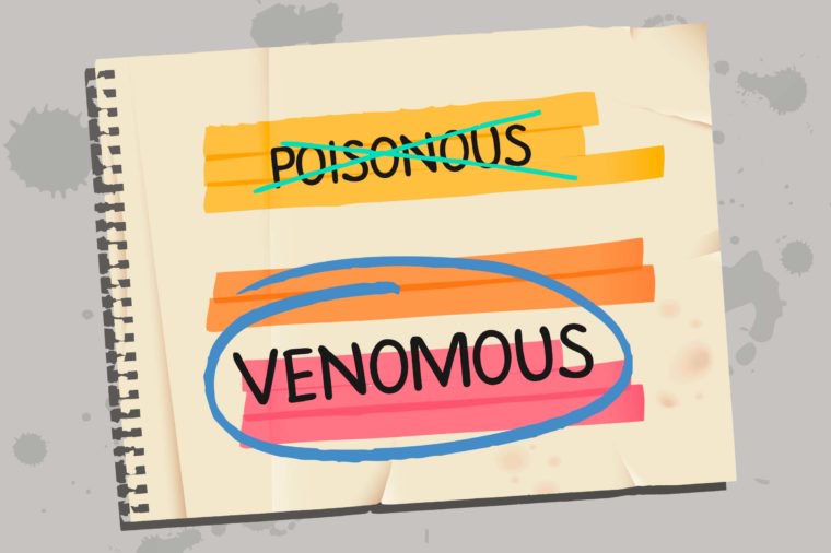 Poisonous versus Venomous