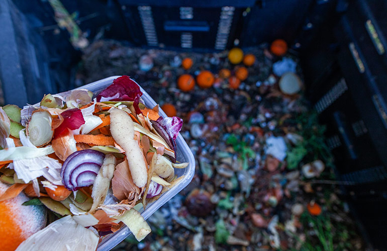 Compost heroes