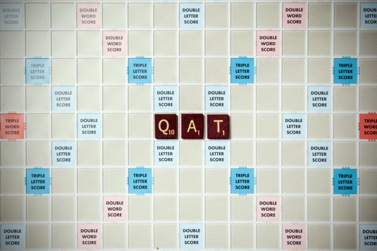 Qat: A shrub that grows in the Middle East and Africa