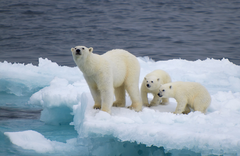 The North pole is on the North side of the planet