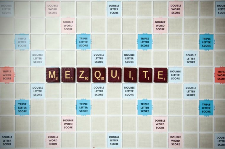 Mezquite: Alternate spelling of mesquite