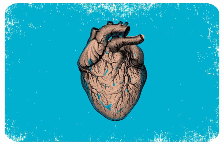 You get a lot of heartbeats