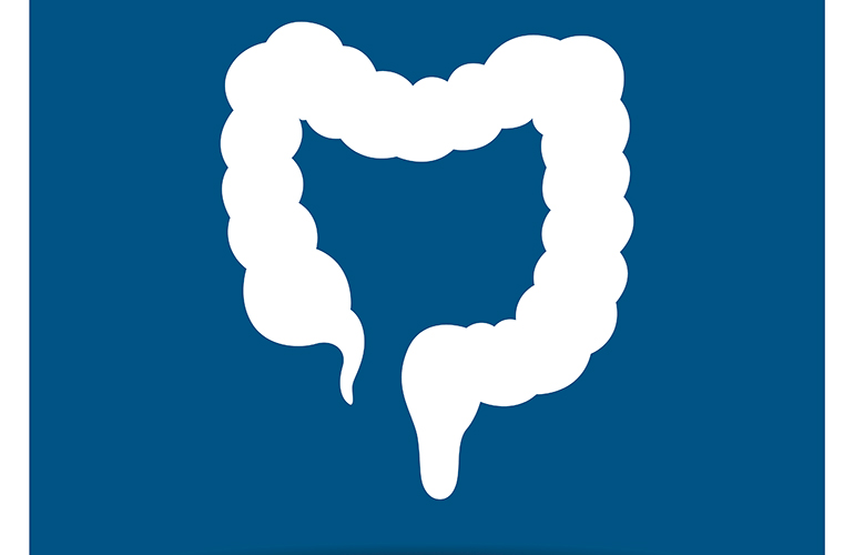 Colon